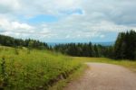 2014-07-05_Laengental-N-Hochweg (286). JPG